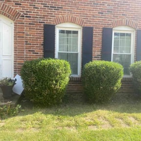 Bush Trimming by Long Lasting Lawn Care reviewed on April 4, 2022