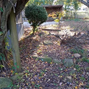 Leaf Removal by Kee Lawn care reviewed on April 24, 2022