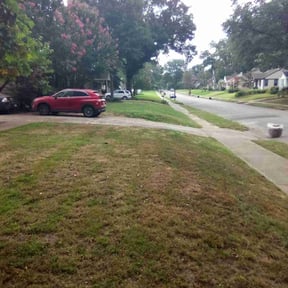 Leaf Removal by Cj's Landscaping reviewed on July 13, 2025