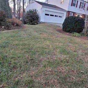 Leaf Removal by GreenCut Lawn Care reviewed on April 20, 2025