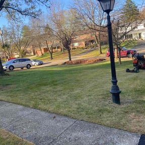 Leaf Removal by Steve’s mowing company reviewed on August 26, 2024