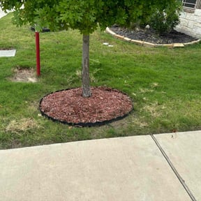 Flower Bed Weeding by Ledezma reviewed on January 10, 2022