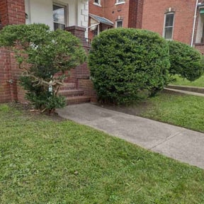 Bush Trimming by RMW Property Management reviewed on April 19, 2022