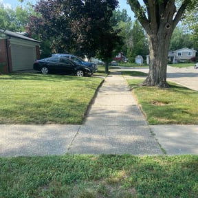 Cleanups by Professional lawn care reviewed on July 8, 2022