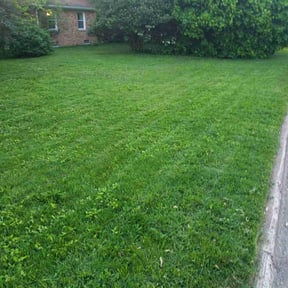 Cleanups by Taylorscapes INC reviewed on July 6, 2025