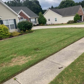 Weeding by Big Bear Lawn Care reviewed on June 21, 2022