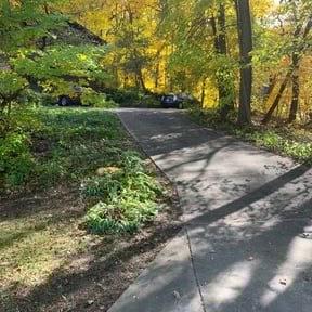 Leaf Removal by TDG reviewed on October 5, 2022