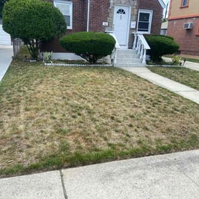 Landscaping by Easy lawn care and more reviewed on August 4, 2024