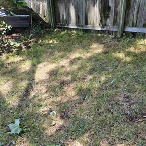 Cleanups by JA Performance Outdoor Services reviewed on April 14, 2025