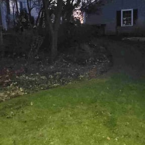 Cleanups by Dirt-Brothers Lawn Care reviewed on May 24, 2022