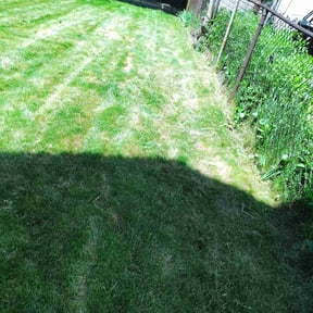 Cleanups by Flores Landscaping reviewed on April 26, 2022