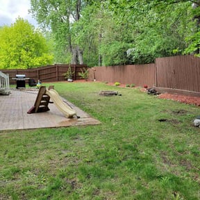 Landscaping by Olympus Outdoor Services reviewed on November 6, 2024