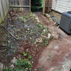 Weeding by MB Williams Lawncare Service LLC reviewed on August 1, 2022