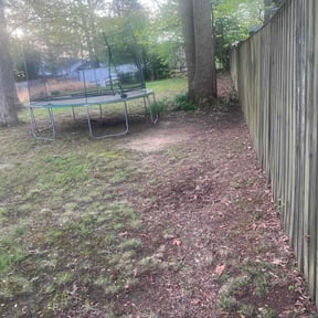 Leaf Removal by Lucio Gonzales reviewed on June 1, 2022