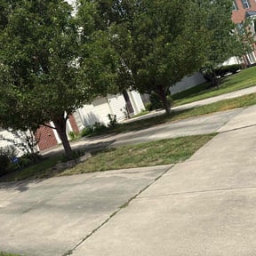 Flower Bed Weeding by Carbon Dioxide Recyclers reviewed on June 7, 2022