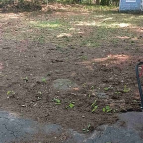 Cleanups by Moton Lawn Care reviewed on June 4, 2022