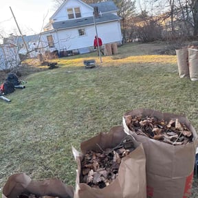 Leaf Removal by Creative Edge lawn & Landscape reviewed on July 13, 2020