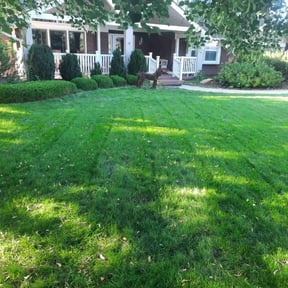 Bush Trimming by Scotty's Lawn Care reviewed on August 9, 2024