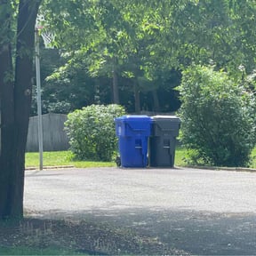 Bush Trimming by Barnes Lawn Care reviewed on April 28, 2022