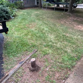 Cleanups by Eco Landscape & Design reviewed on June 29, 2025