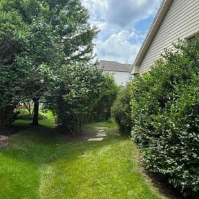 Bush Trimming by Bowles lawn care reviewed on June 20, 2022