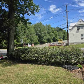 Bush Trimming by Majestic Construction LLC reviewed on August 8, 2022