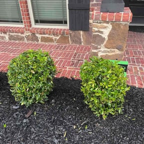 Bush Trimming by Bart's Dad Mowing reviewed on July 10, 2025