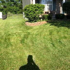 Bush Trimming by Cutting Edge Landscaping reviewed on April 20, 2022