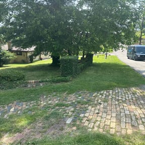 Bush Trimming by J&B Home Improvements reviewed on August 23, 2024