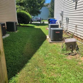 Bush Trimming by Coqui cleaning & Lawn maintenance LLC reviewed on December 4, 2024