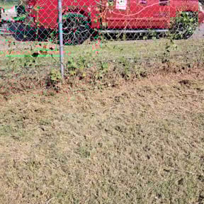 Bush Trimming by CUT Tulsa Lawn Co. reviewed on December 8, 2024