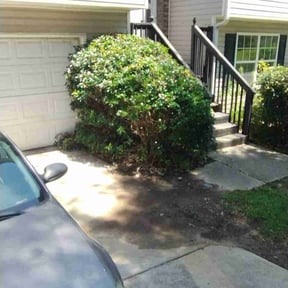 Bush Trimming by Ridgewood Landscape Management llc. reviewed on June 28, 2022