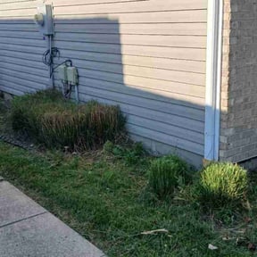Bush Trimming by Phillips4seasons reviewed on April 25, 2025