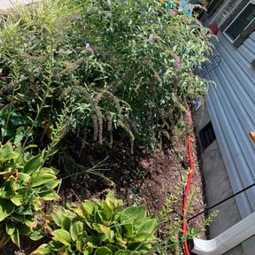 Flower Bed Weeding by Torres Landscaping reviewed on April 13, 2025