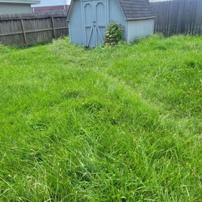 Cleanups by M&M lawn care reviewed on May 12, 2022