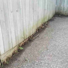 Cleanups by Trophy Lawns of Georgia reviewed on July 5, 2022