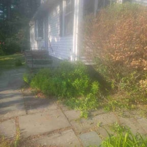 Bush Trimming by Thom's mowing and lawn care reviewed on June 13, 2022