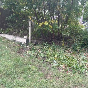 Bush Trimming by Rodriguez Lawn Care LLC reviewed on June 30, 2022