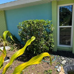 Bush Trimming by Finest Edge Lawn Care reviewed on July 14, 2022