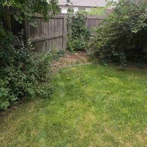 Cleanups by vangs handy service reviewed on June 22, 2022