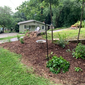 Landscaping by Extract Terrestrial, LLC reviewed on July 27, 2022