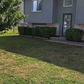 Bush Trimming by Tjs lawn care LLC, reviewed on July 14, 2022