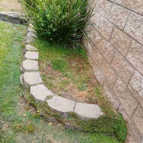 Cleanups by Terra Verde Landscape &amp; Design reviewed on July 8, 2025