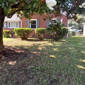 Cleanups by Type A Lawn Guy reviewed on July 16, 2025