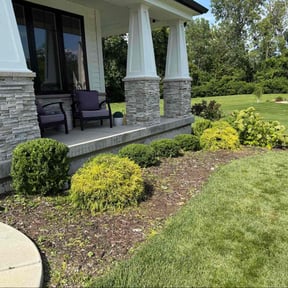 Bush Trimming by Amanda&#039;s Tree Trimming &amp; Lawn Care Services reviewed on July 1, 2025