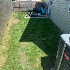 Bush Trimming by Quality Care Lawn Care Service Co reviewed on April 13, 2025