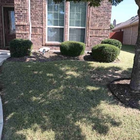 Bush Trimming by Yards Done Daily reviewed on November 3, 2022