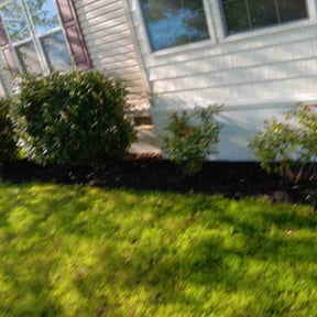 Cleanups by Green Knight Lawn Care reviewed on November 2, 2024