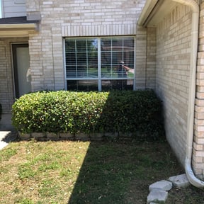 Bush Trimming by LSLTAustin/SanAntonioEmerald reviewed on May 13, 2025