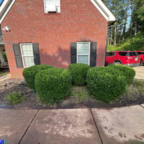 Bush Trimming by Keep it Loe Lawn Service reviewed on August 2, 2022